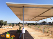 يافا: هل ستقوم البلدية بايجاد حل لقضية اخطارات الهدم للمعرشات في مقبرة "طاسو" !؟